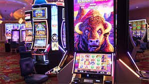 7 bet app